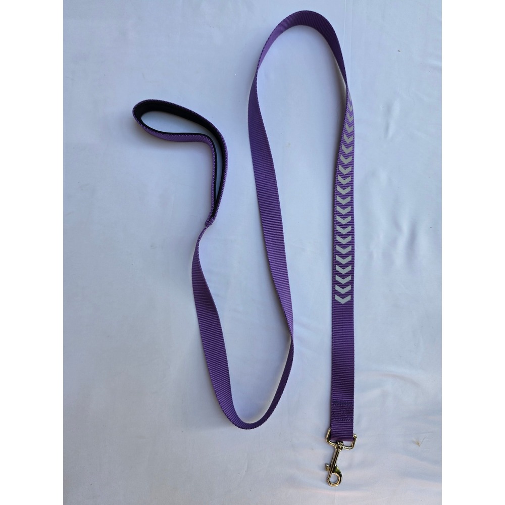 Purple Reflective Dog Leash with Padded Handle 5 Foot Nylon Pet Lead